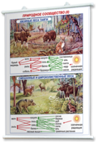 Плакаты по географии России для оформления кабинета. - fgospostavki.ru - Челябинск