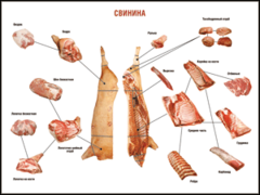 Таблица "Правила разделки мясных туш. Свинина" (100х140 сантиметров. винил) - fgospostavki.ru - Челябинск