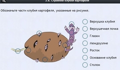 Интерактивные курсы. Биология 6 класс. Расширенный - fgospostavki.ru - Челябинск