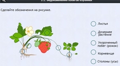 Интерактивные курсы. Биология 7 класс. Расширенный. - fgospostavki.ru - Челябинск