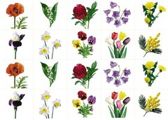 Комплект карточек "Запоминай, играй, считай" - Цветы - fgospostavki.ru - Челябинск