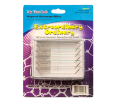 Набор микропрепаратов для микроскопа №3 «Необычное в обычном» - fgospostavki.ru - Челябинск