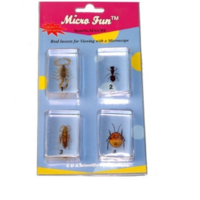 Набор микропрепаратов для стереомикроскопа №14 «Насекомые» - fgospostavki.ru - Челябинск