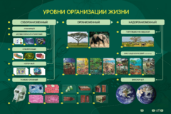 Электрифицированный стенд "Уровни организации жизни" - fgospostavki.ru - Челябинск