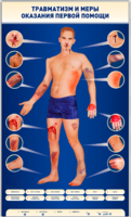 Электрифицированный стенд-тренажер "Травматизм и меры оказания первой помощи" - fgospostavki.ru - Челябинск