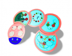 Тактильно-развивающая панель «Гусеница» - fgospostavki.ru - Челябинск