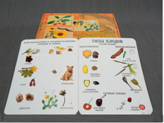 Коллекция "Семена и плоды" - fgospostavki.ru - Челябинск