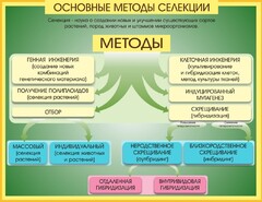 Стенд "Методы селекции и биотехнологии" - fgospostavki.ru - Челябинск