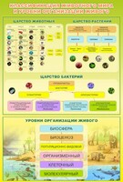 Стенд "Классификация животного мира" - fgospostavki.ru - Челябинск