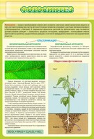 Стенд "Фотосинтез" - fgospostavki.ru - Челябинск