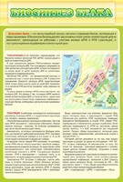 Стенд "Биосинтез белка" - fgospostavki.ru - Челябинск