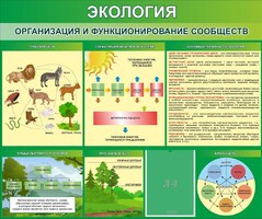 Стенд "Экология. Организация и функционирование сообществ" - fgospostavki.ru - Челябинск