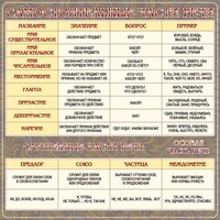 Стенд "Самостоятельные части речи" Вариант 2 - fgospostavki.ru - Челябинск