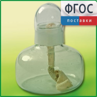Спиртовка демонстрационная - fgospostavki.ru - Челябинск