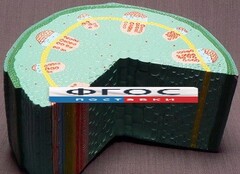 Модель "Стебель растения" - fgospostavki.ru - Челябинск