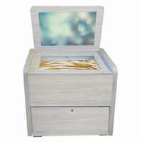 Сундучок психолога-дефектолога "Антошка" - fgospostavki.ru - Челябинск