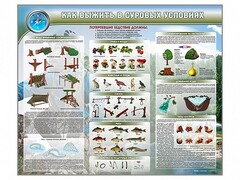 Стенд "Как выжить в суровых условиях" - fgospostavki.ru - Челябинск