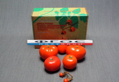 Набор муляжей "Дикая форма и культурные сорта томатов" - fgospostavki.ru - Челябинск