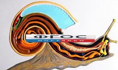 Модель барельефная "Внутреннее строение брюхоногого моллюска" - fgospostavki.ru - Челябинск