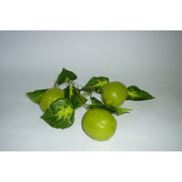 Ветка муляжей "Лайм" - fgospostavki.ru - Челябинск