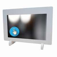 Волшебное логопедическое зеркало "Антошка" - fgospostavki.ru - Челябинск