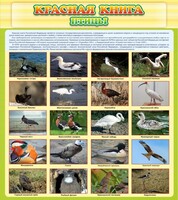 Стенд "Красная книга - птицы" - fgospostavki.ru - Челябинск