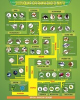 Стенд "Многообразие органического мира" - fgospostavki.ru - Челябинск