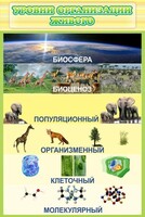Стенд "Уровни организации живого" - fgospostavki.ru - Челябинск