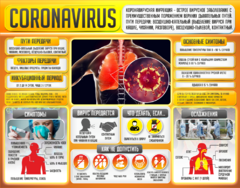 Плакат "Коронавирус" (вариант 2) - fgospostavki.ru - Челябинск