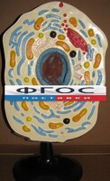 Модель "Клетка животного" - fgospostavki.ru - Челябинск