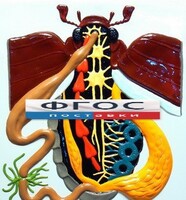 Модель барельефная "Внутреннее строение жука" - fgospostavki.ru - Челябинск