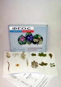 Гербарий "Морфология растений" (5 тем х 3 листа) - fgospostavki.ru - Челябинск