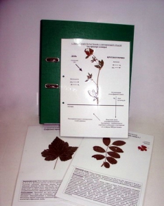 Гербарий к курсу основ общей биологии (20 листов, ламинированный) - fgospostavki.ru - Челябинск