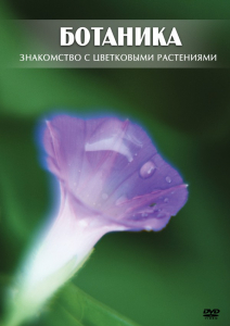 DVD "Ботаника. Знакомство с цветковыми растениями" - fgospostavki.ru - Челябинск