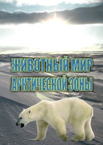 DVD "Животный мир Арктической зоны" - fgospostavki.ru - Челябинск