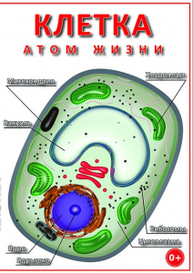 DVD "Клетка - "атом жизни" - fgospostavki.ru - Челябинск