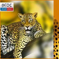 Зоология. (Цифровая база изображений) - fgospostavki.ru - Челябинск