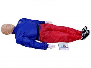 "Александр-04" тренажер-манекен взрослого пострадавшего для отработки приемов сердечно-легочной реанимации (голова, туловище, конечности) с контроллером - fgospostavki.ru - Челябинск