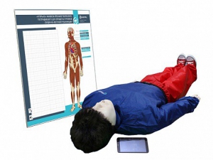 "Игорь-02" манекен-тренажер взрослого пострадавшего для отработки приемов сердечно-легочной реанимации (голова, туловище, конечности) с беспроводным планшетным компьютером и настенным анатомическим табло - fgospostavki.ru - Челябинск