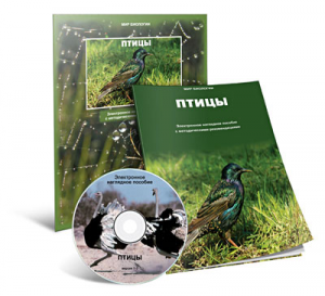 Электронное наглядное пособие «Птицы» - fgospostavki.ru - Челябинск
