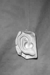 Гипсовая модель "Ухо" - fgospostavki.ru - Челябинск