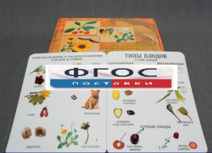 Коллекция "Семена и плоды" - fgospostavki.ru - Челябинск