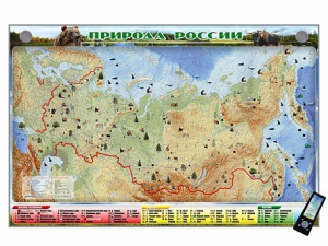 Электронно-информационный (маркерный) стенд "Природа России" адаптивный, с сенсорным пультом управления и планшетом со шрифтом Брайля - fgospostavki.ru - Челябинск