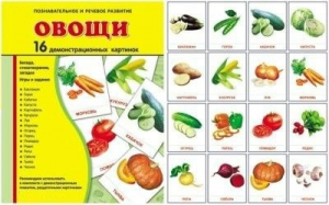 Демонстрационные карточки "Овощи" - fgospostavki.ru - Челябинск
