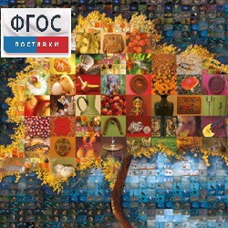 Начальная школа. Иностранный язык. (Цифровая база изображений) - fgospostavki.ru - Челябинск