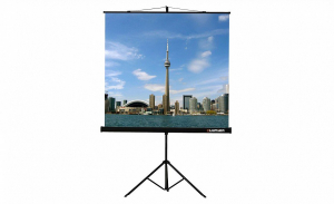 Проекционный экран на штативе Lumien Eco View (LEV-100105) 160x160 см - fgospostavki.ru - Челябинск