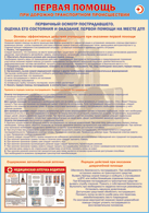 Таблица "Первичный осмотр пострадавшего, оценка его состояния и оказание первой помощи на месте ДТП" (100х140 сантиметров, винил) - fgospostavki.ru - Челябинск