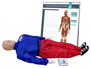 "Александр-01" тренажер-манекен взрослого пострадавшего для отработки приемов сердечно-легочной реанимации (голова, туловище, конечности) с контроллером и настенным табло - fgospostavki.ru - Челябинск