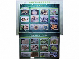 Комбинированный модульный комплекс "Лого-биолог" - fgospostavki.ru - Челябинск