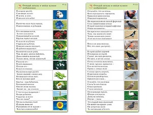 Комплект карточек (10) "Обучающий калейдоскоп. Природа" - fgospostavki.ru - Челябинск